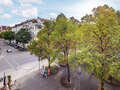 Wohnung München Schwabing-West (rund um den Hohenzollernplatz) 03 Aussicht 8850