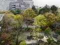 Dachterrassenwohnung München Arabellapark 01 Aussicht 9024