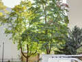 Wohnung München Neuhausen 01 Aussicht 9686