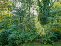 Wohnung München Herzogpark 02 Aussicht 9714