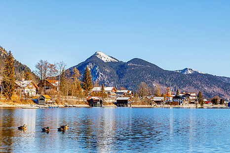 Das Foto zeigt den Walchensee mit Berg im Hintergrund