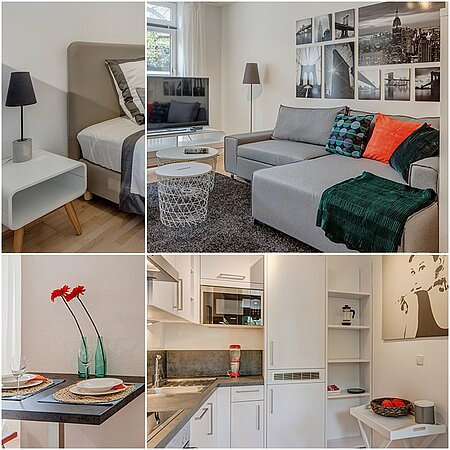 Apartment 297 ID 297: