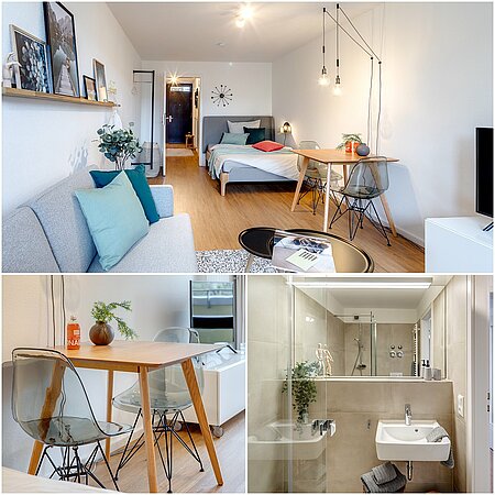 Apartment 11338 ID 11338: