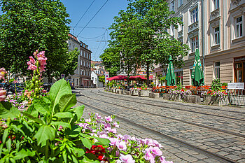 Zu sehen ist eine Straße mit Tramgleisen gesäumt mit Bäumen