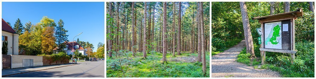 Fotos der Umgebung in Harlaching