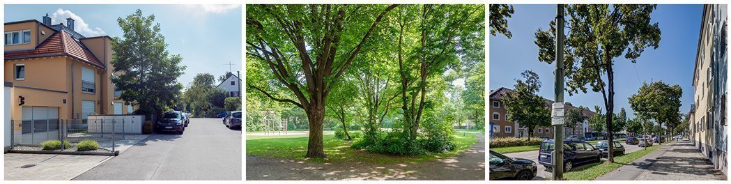 Fotos der Umgebung vom Stadtteil Waldfriedhof 